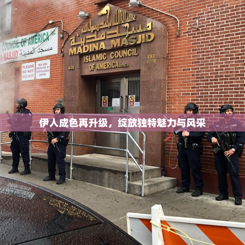伊人成色再升级，绽放独特魅力与风采