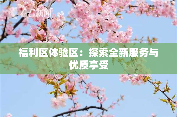 福利区体验区：探索全新服务与优质享受