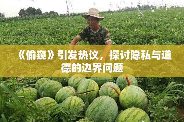 《偷窥》引发热议，探讨隐私与道德的边界问题