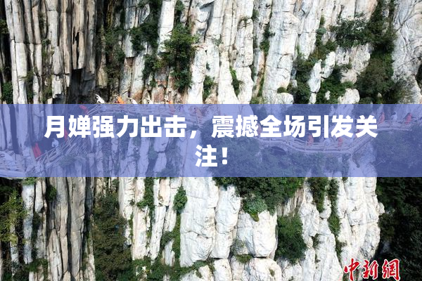 月婵强力出击，震撼全场引发关注！