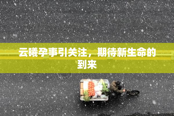云曦孕事引关注，期待新生命的到来