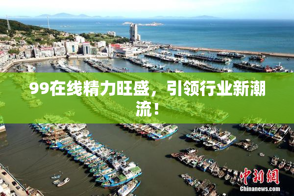 99在线精力旺盛，引领行业新潮流！
