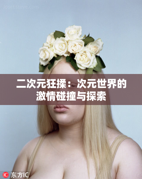 二次元狂揉：次元世界的激情碰撞与探索