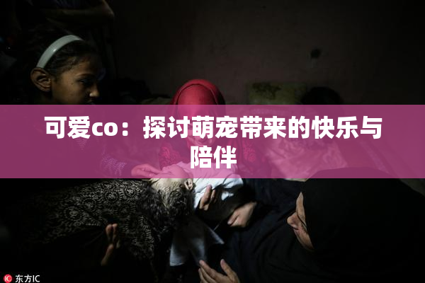 可爱co：探讨萌宠带来的快乐与陪伴