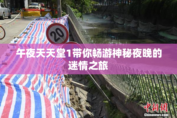 午夜天天堂1带你畅游神秘夜晚的迷情之旅