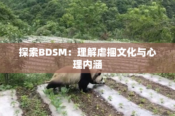 探索BDSM：理解虐捆文化与心理内涵