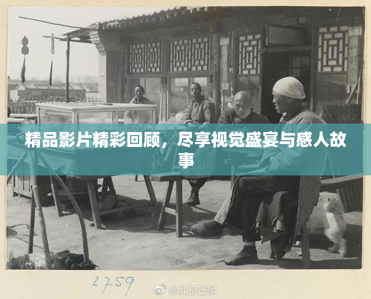 精品影片精彩回顾，尽享视觉盛宴与感人故事