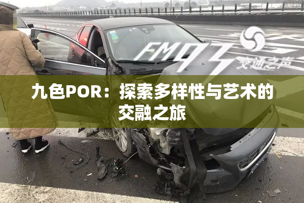 九色POR：探索多样性与艺术的交融之旅