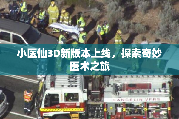 小医仙3D新版本上线，探索奇妙医术之旅