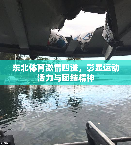 东北体育激情四溢，彰显运动活力与团结精神