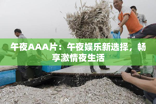 午夜AAA片：午夜娱乐新选择，畅享激情夜生活