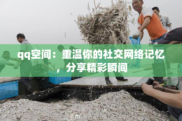 qq空间：重温你的社交网络记忆，分享精彩瞬间