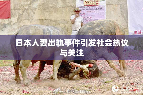 日本人妻出轨事件引发社会热议与关注