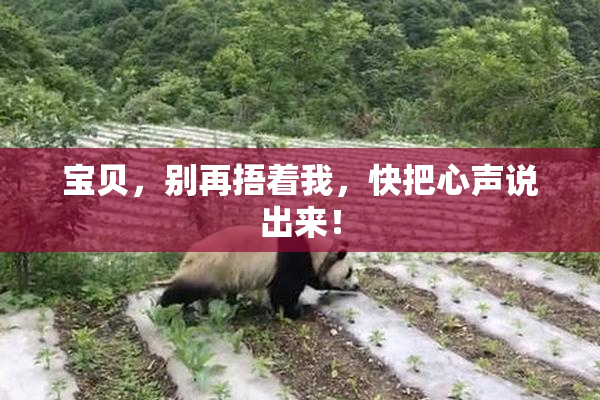 宝贝，别再捂着我，快把心声说出来！