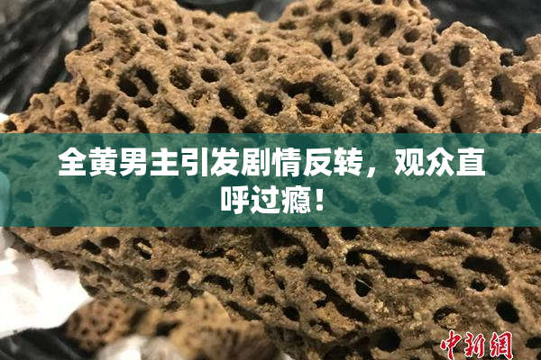 全黄男主引发剧情反转，观众直呼过瘾！
