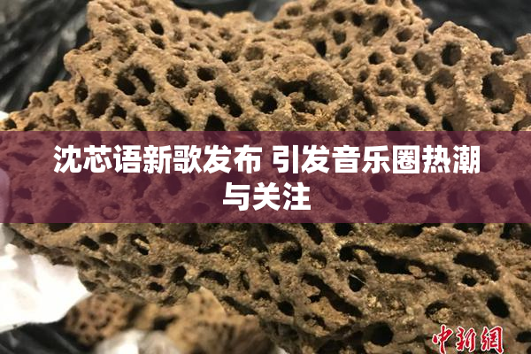 沈芯语新歌发布 引发音乐圈热潮与关注