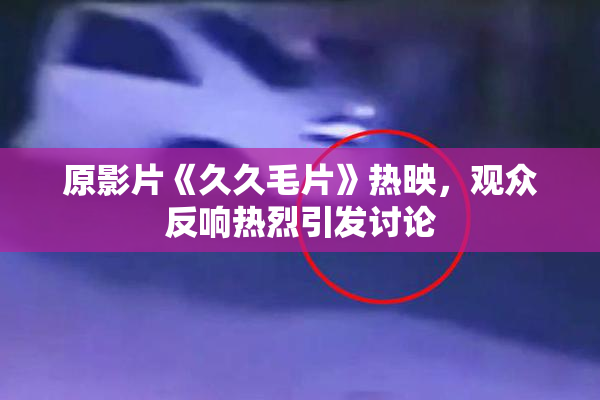 原影片《久久毛片》热映，观众反响热烈引发讨论
