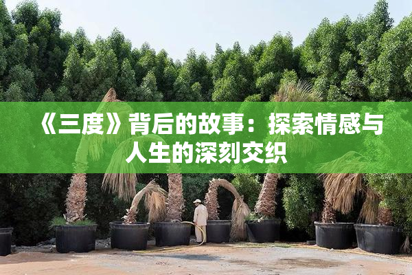《三度》背后的故事：探索情感与人生的深刻交织