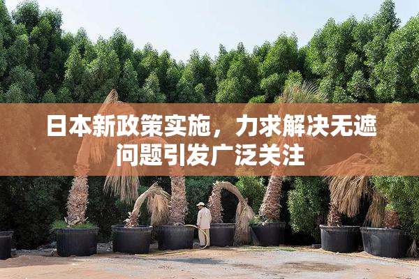 日本新政策实施，力求解决无遮问题引发广泛关注