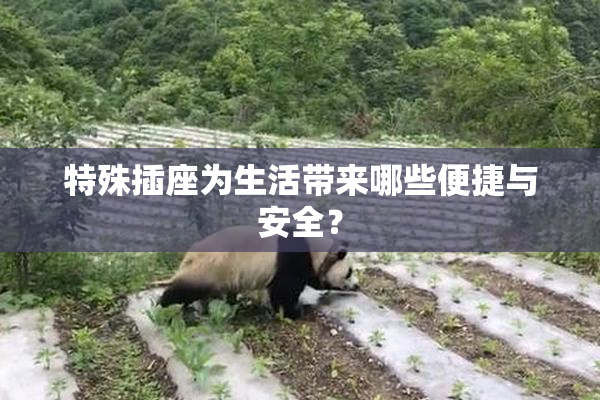 特殊插座为生活带来哪些便捷与安全？