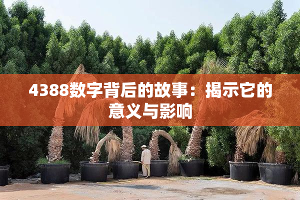 4388数字背后的故事：揭示它的意义与影响