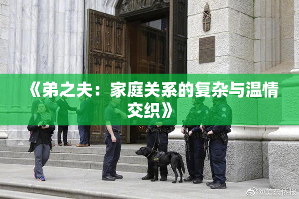 《弟之夫：家庭关系的复杂与温情交织》