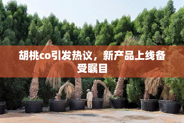 胡桃co引发热议，新产品上线备受瞩目