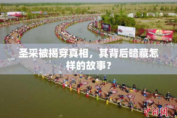 圣采被揭穿真相，其背后暗藏怎样的故事？