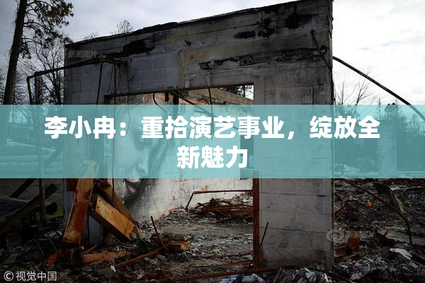 李小冉：重拾演艺事业，绽放全新魅力
