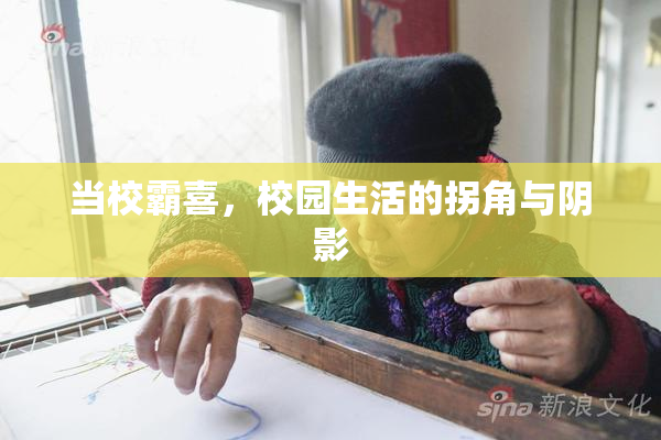 当校霸喜，校园生活的拐角与阴影