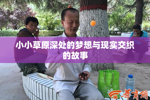 小小草原深处的梦想与现实交织的故事