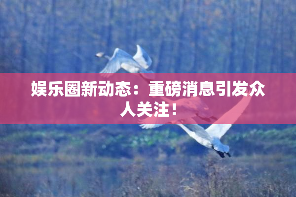 娱乐圈新动态：重磅消息引发众人关注！