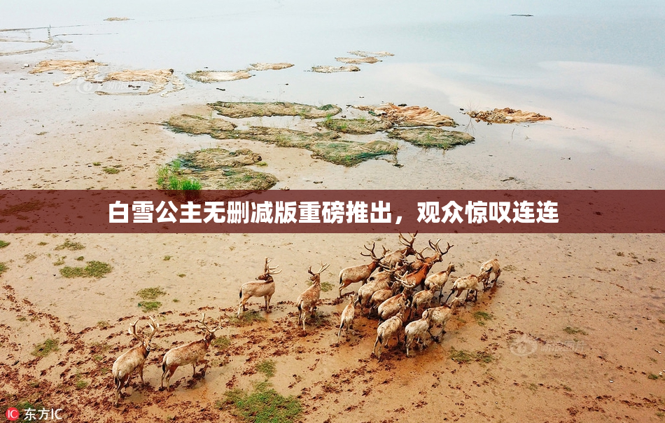 白雪公主无删减版重磅推出，观众惊叹连连