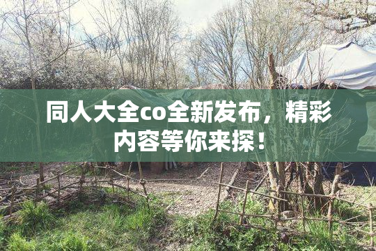同人大全co全新发布，精彩内容等你来探！