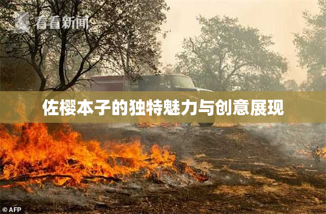佐樱本子的独特魅力与创意展现