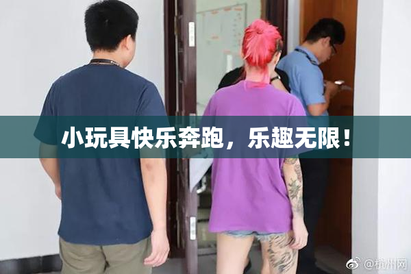 小玩具快乐奔跑，乐趣无限！