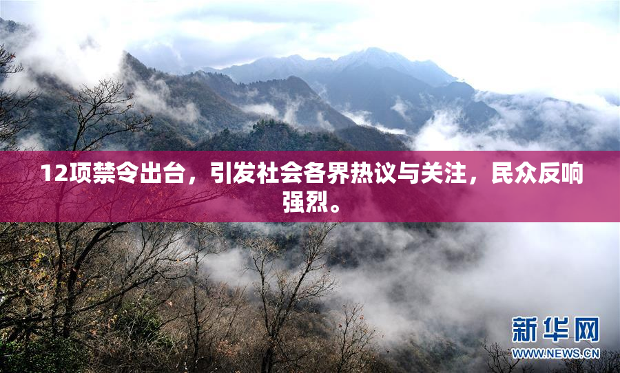 12项禁令出台，引发社会各界热议与关注，民众反响强烈。