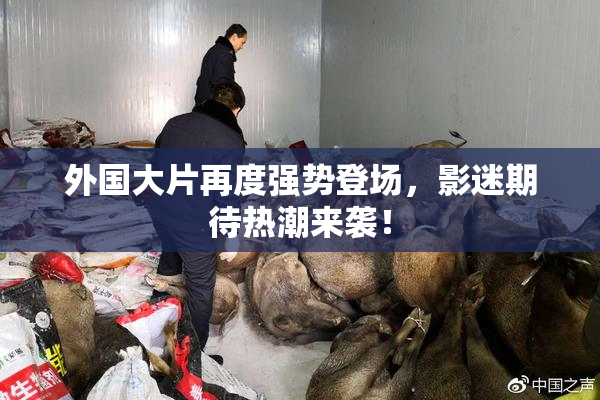 外国大片再度强势登场，影迷期待热潮来袭！