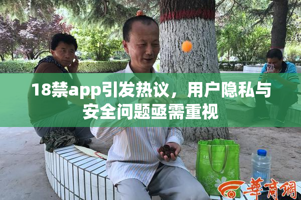18禁app引发热议，用户隐私与安全问题亟需重视