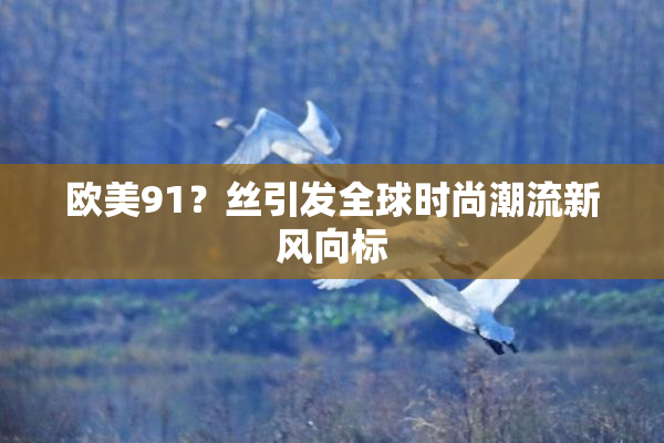 欧美91？丝引发全球时尚潮流新风向标
