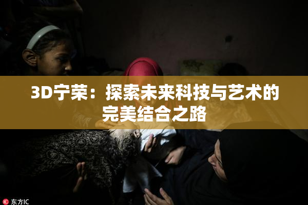 3D宁荣：探索未来科技与艺术的完美结合之路
