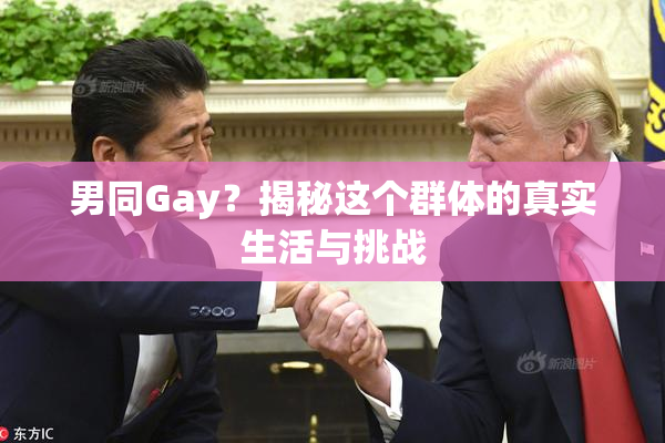 男同Gay？揭秘这个群体的真实生活与挑战