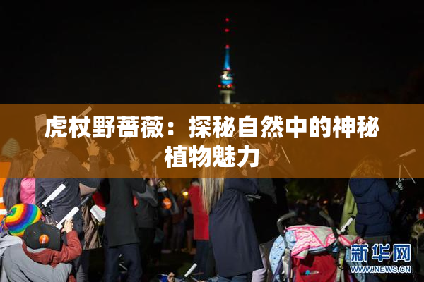 虎杖野蔷薇：探秘自然中的神秘植物魅力