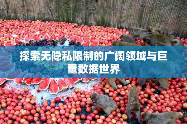 探索无隐私限制的广阔领域与巨量数据世界