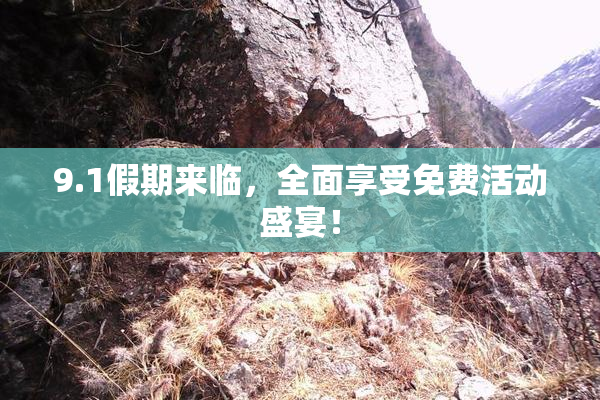 9.1假期来临，全面享受免费活动盛宴！