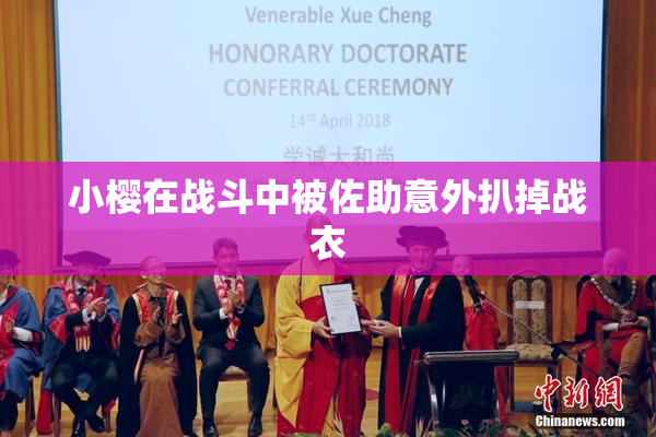 小樱在战斗中被佐助意外扒掉战衣