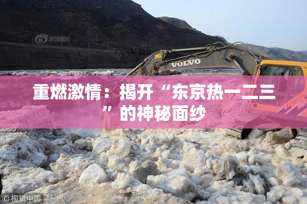 重燃激情：揭开“东京热一二三”的神秘面纱