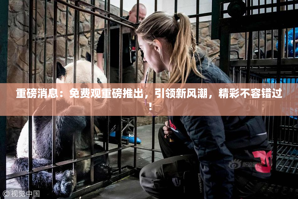 重磅消息：免费观重磅推出，引领新风潮，精彩不容错过！