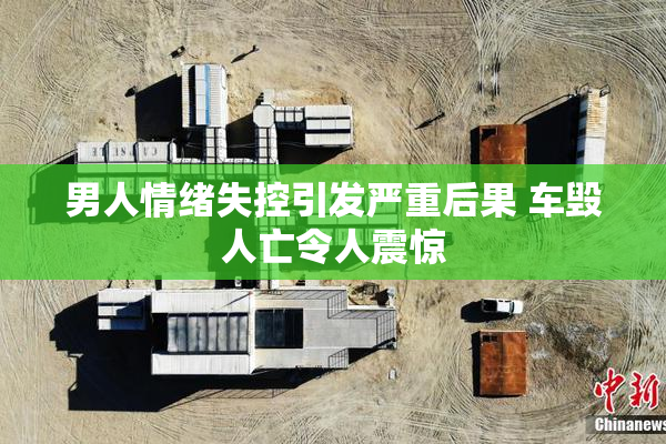 男人情绪失控引发严重后果 车毁人亡令人震惊
