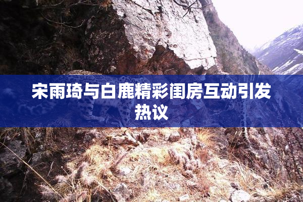 宋雨琦与白鹿精彩闺房互动引发热议